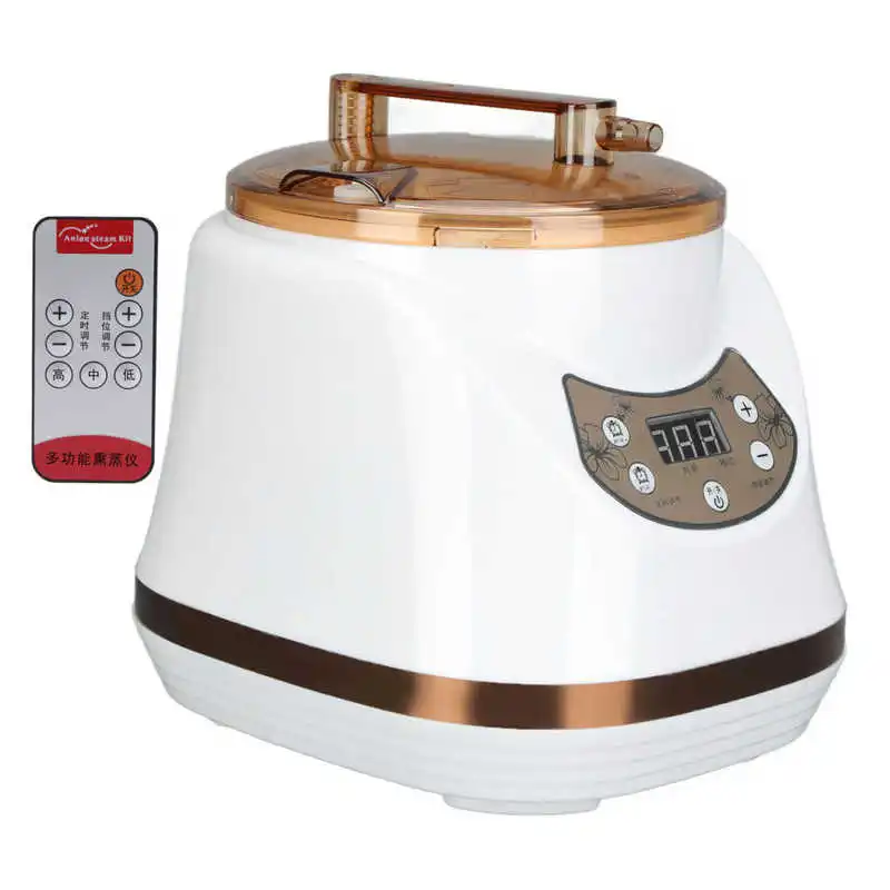 1000W 2L Sauna Steamer Pot Portable Multifunctional Spa Fumigation Machine for Body Detox Weight Loss Spa Steam Generator 4