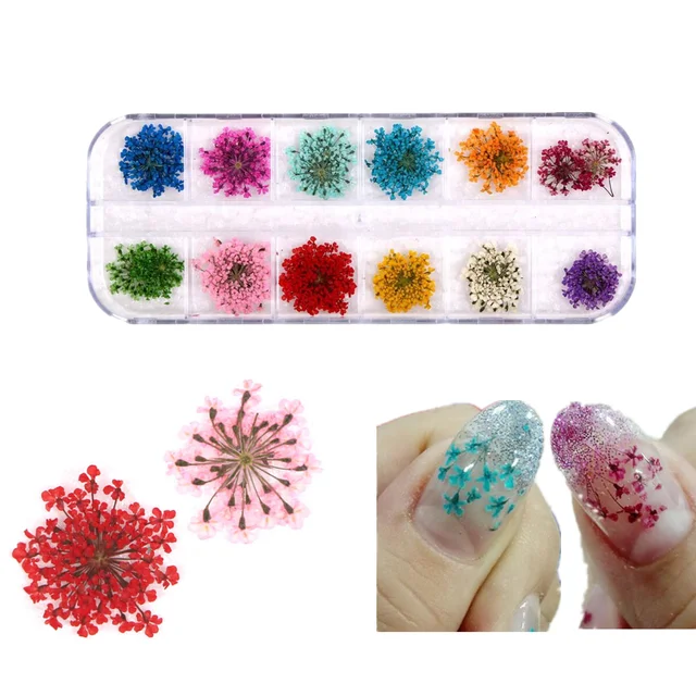 Dried Flowers Nail Art DIY Real Dried Flowers for Nail Decoration Art Craft  Making Jewellery Simulation Decoration Holiday - AliExpress