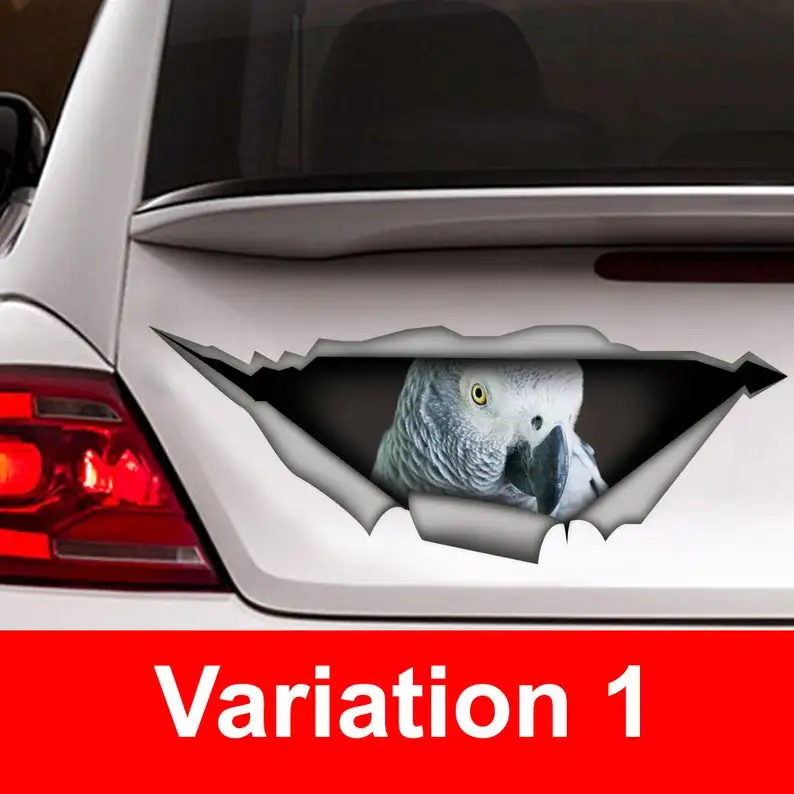 

African Grey car decal, vinyl decal, parrot decal, bird decal, parrot sticker