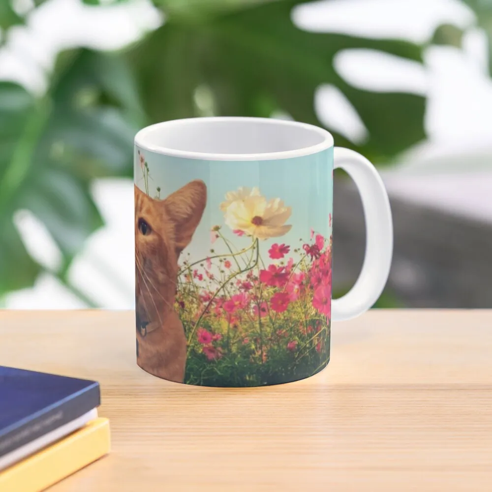 

flowers around the cat Coffee Mug Glasses Thermo Cups For Thermo Cups To Carry Mug