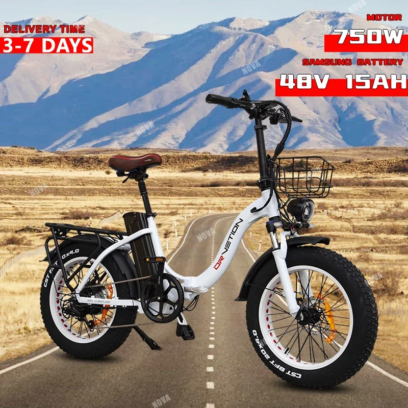 

Folding Electric Bicycle 750W48V15Ah Samsung Battery 20*4Fat Tire City Commuter Women's Electric Bike Mountain Ebike With Basket