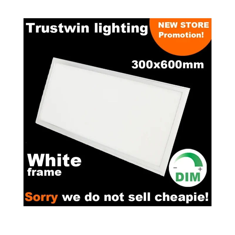 

10 pieces/lot oblong rectangle ultra thin 24W 1x2 ft feet white frame office Lobby meeting room dimmable 300x600 LED panel light