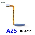 A25 blue