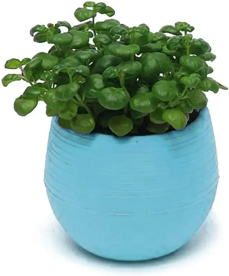 

S5-Ceramic Flower Pot, Small Planters with Drainage Hole Home Table Office Decoration (Blue)