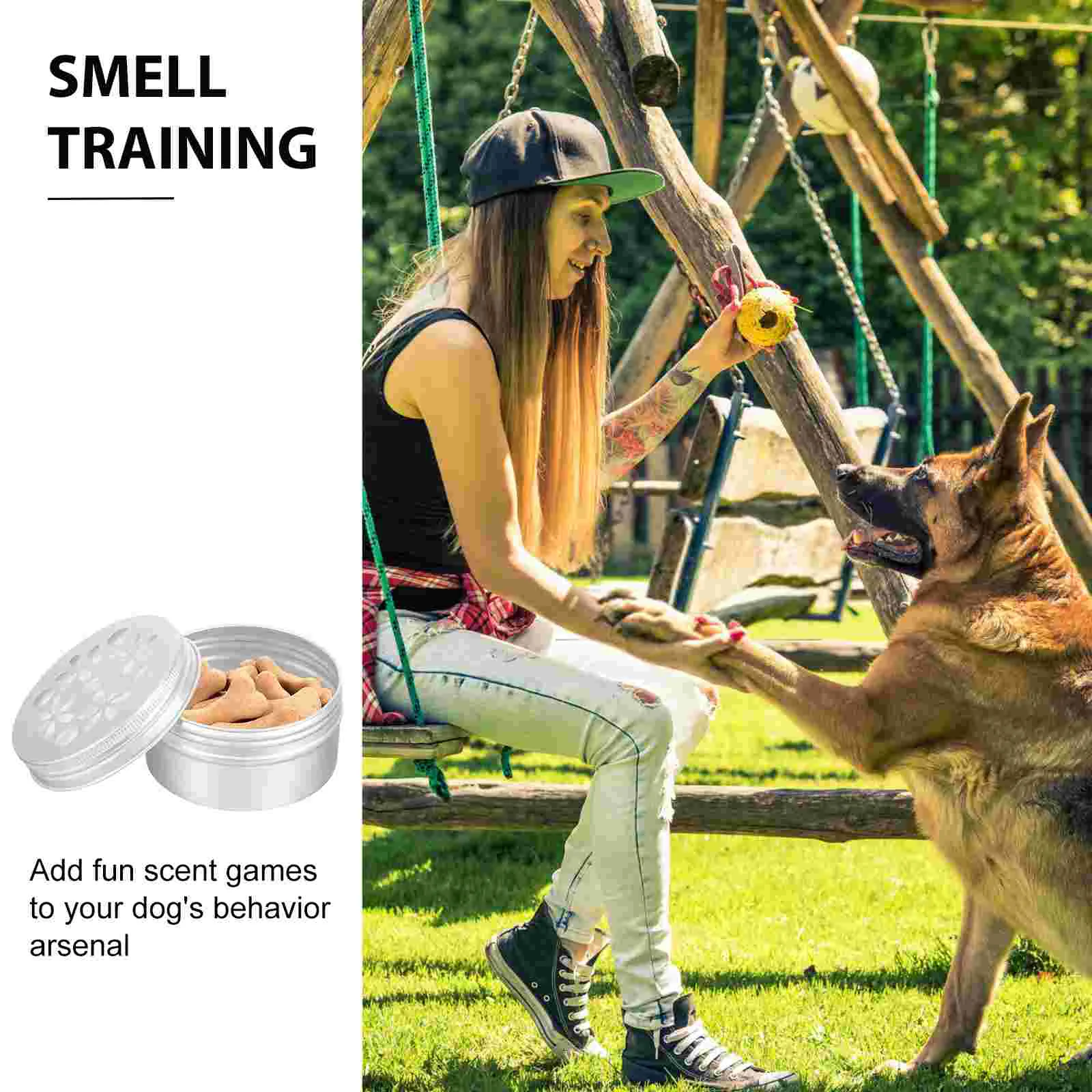 

Dog Scent Work Tins 10Pcs Dog Scent Training Kit Aluminum Smell Training Box Hollow Lids Dog Nose Training Containers Kit