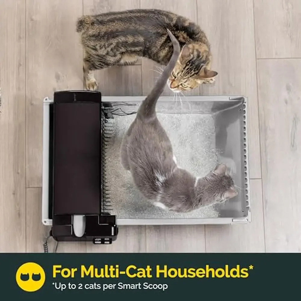 Automatic Self Cleaning Cat Litter Box with Carbon Filter & Bags Mess and Odor Control Quiet Operation Ideal Two Cats 6-16 lbs