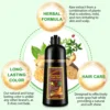Shampoo 3 in 1 Organic Natural Hair Dye Ginseng Extract Black Hair Color Шампунь Для Волос for Cover Gray White Hair 500ML 5