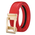 Red-Gold Buckle