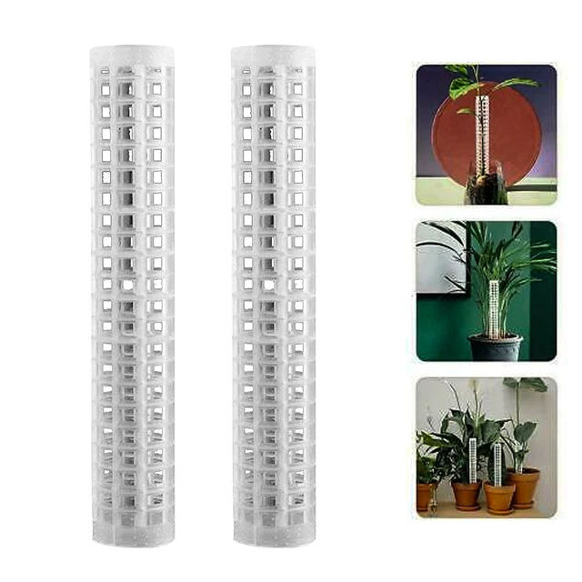 2Dcs Kúszónövény Kókuszdió Totem Bot Beltéri Otthoni Kerti Mohaszárka Felfelé Nőtt - Image 2