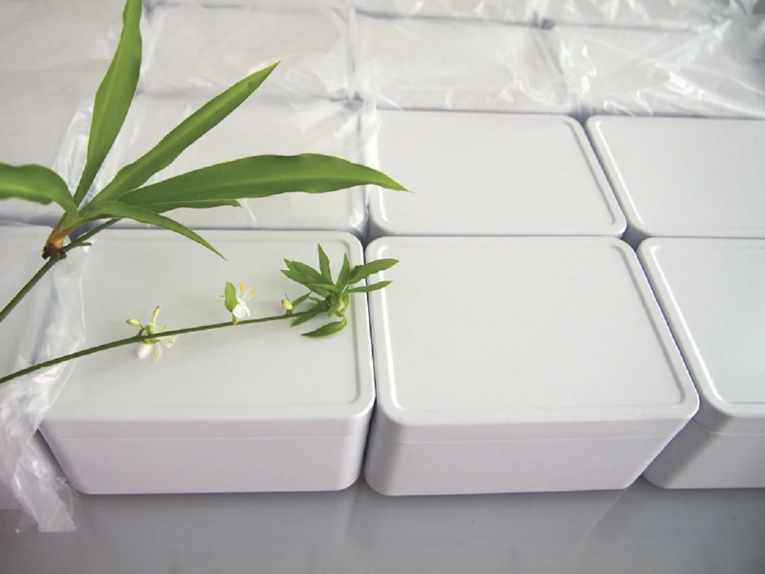 

1PC White Hight Rectangle Biscuit Dessert Cookie Tin Storage Box Makeup Brush Cases Home Sundries Container Cosmetic Organizer