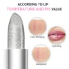 Shiny Color Changing Glitter Lipstick Waterproof Long Lasting Moisturizing Matte lip Balm lip gloss Sexy Lips Makeup 3