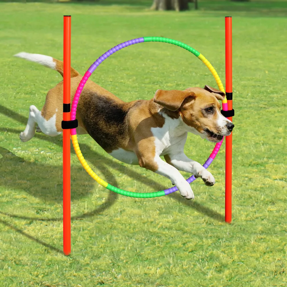 Dog Agility Equipment Portable Pet Training Equipments Dogs Jumping Training Tool Outdoor Dogs Running Stake Sports Stakes Pole dog training supplies,dog agility training set