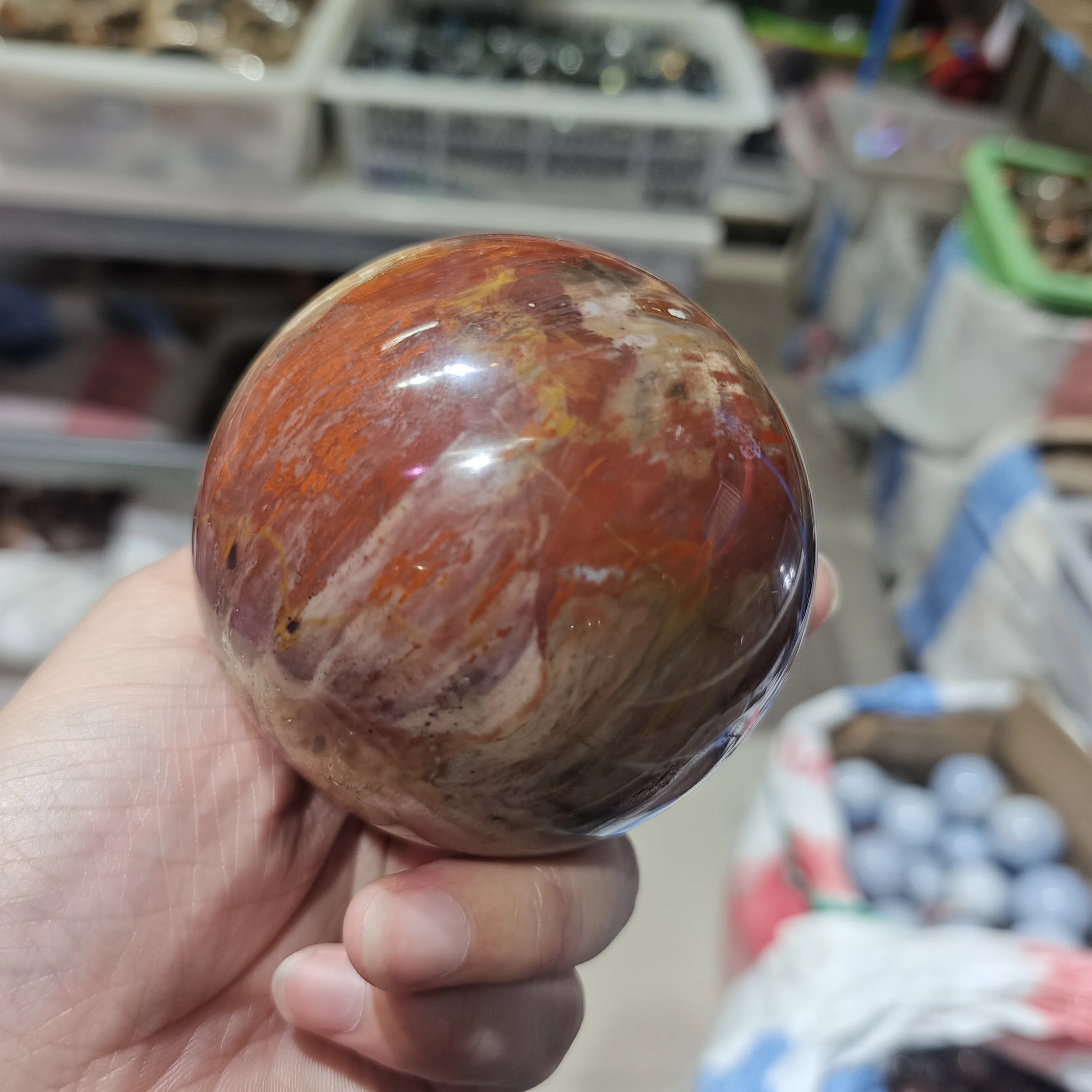 Set of 5 Petrified Wood Balls (fossilized)