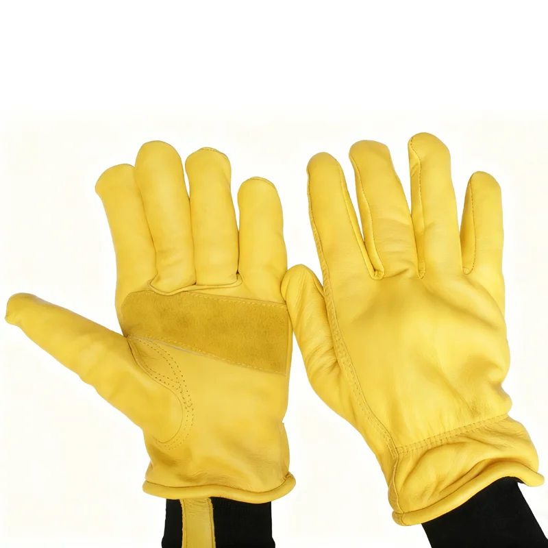 ������ ������ �ܿ� �尩 �Ұ��� �ø��� �Ȱ� ��Ű ������� ������ ���뺸���