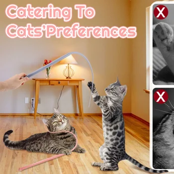 Cat Teaser Wand 1