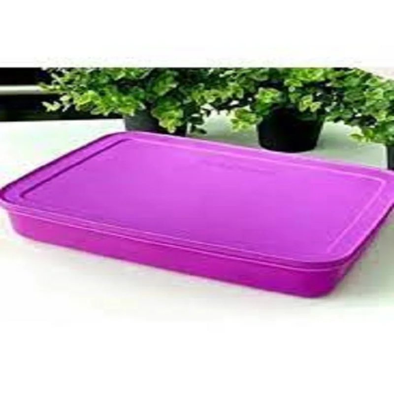 Contenitore Per Congelatore Tupperware, A Prova Di Odore, Trasparente, Serie Alaska, Adatto Per Carne Cruda Di Pesce Pollo