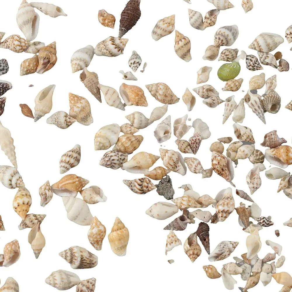 Natural Shell Ornaments 1500 PCS Mini Sea Shells Mixed Ocean Small Beach Spiral Seashells Craft Charms Seashells Decorations for DIY Crafts Fish Tank