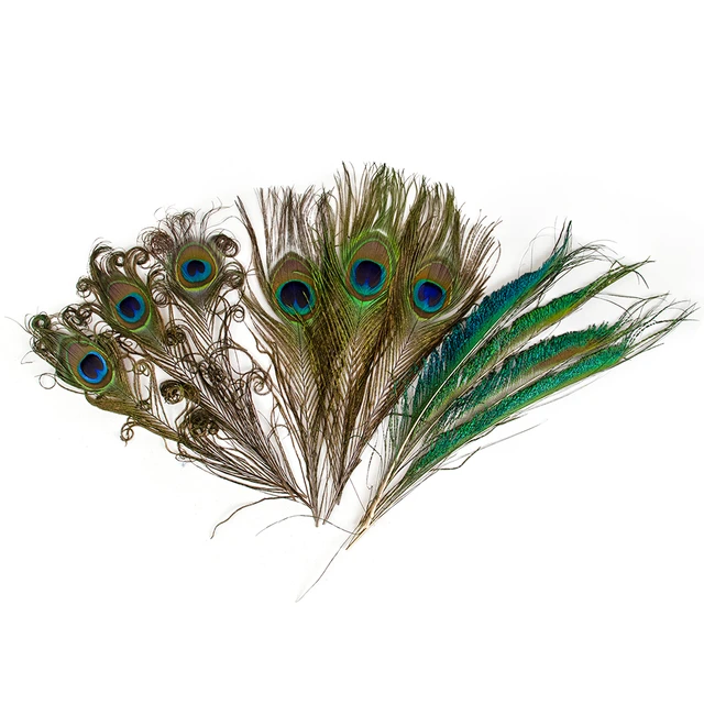 50/100Pcs Natural Real Peacock Feathers for Crafts DIY Wedding Vase  Creative Decoration Jewelry Making Plumas Accessories - AliExpress