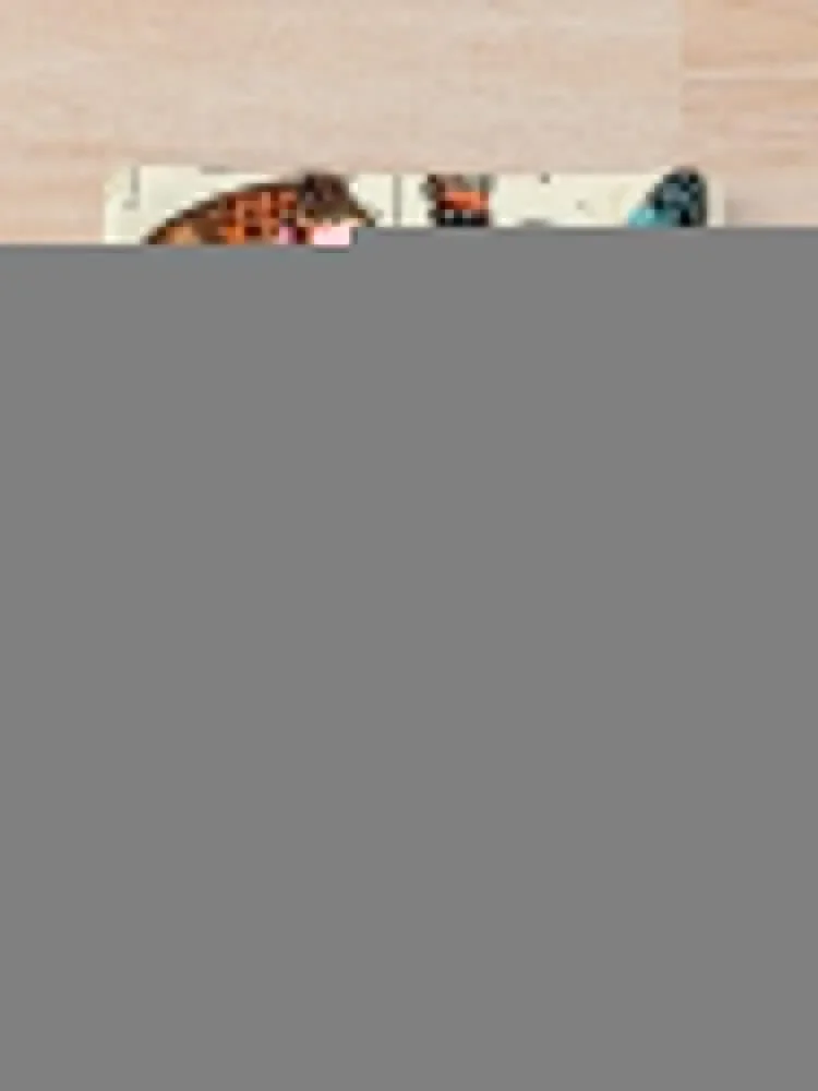 Papillon I ��Ƽ�� ������ ���� ��Ʈ, Adolphe Millot ������ ���, ���� ������ ǫ���� ���� �غ� ���