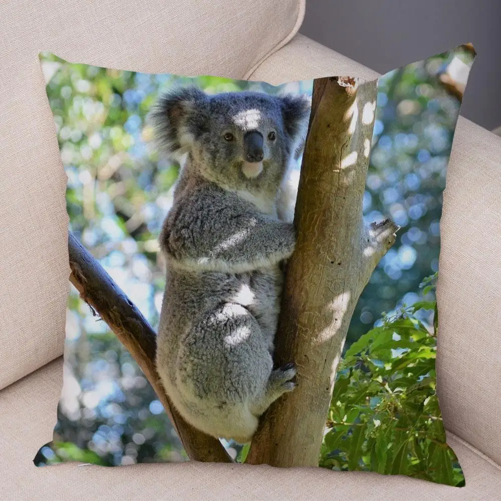 Bedroom Living Room Decor Pillowcase Cute Australian Koala Cushion Cover Wildlife Pattern Print 3