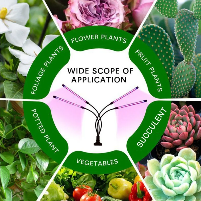 Slide image undefined