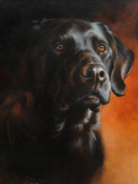 Diamond painting hond op wc kopen | Painting Diamonds