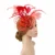 Lady Fascinators Headband with Hair Clip, Pillbox Hat Cocktail Tea Party Headwear, Flower Hat with Veil and Feather for Women 1