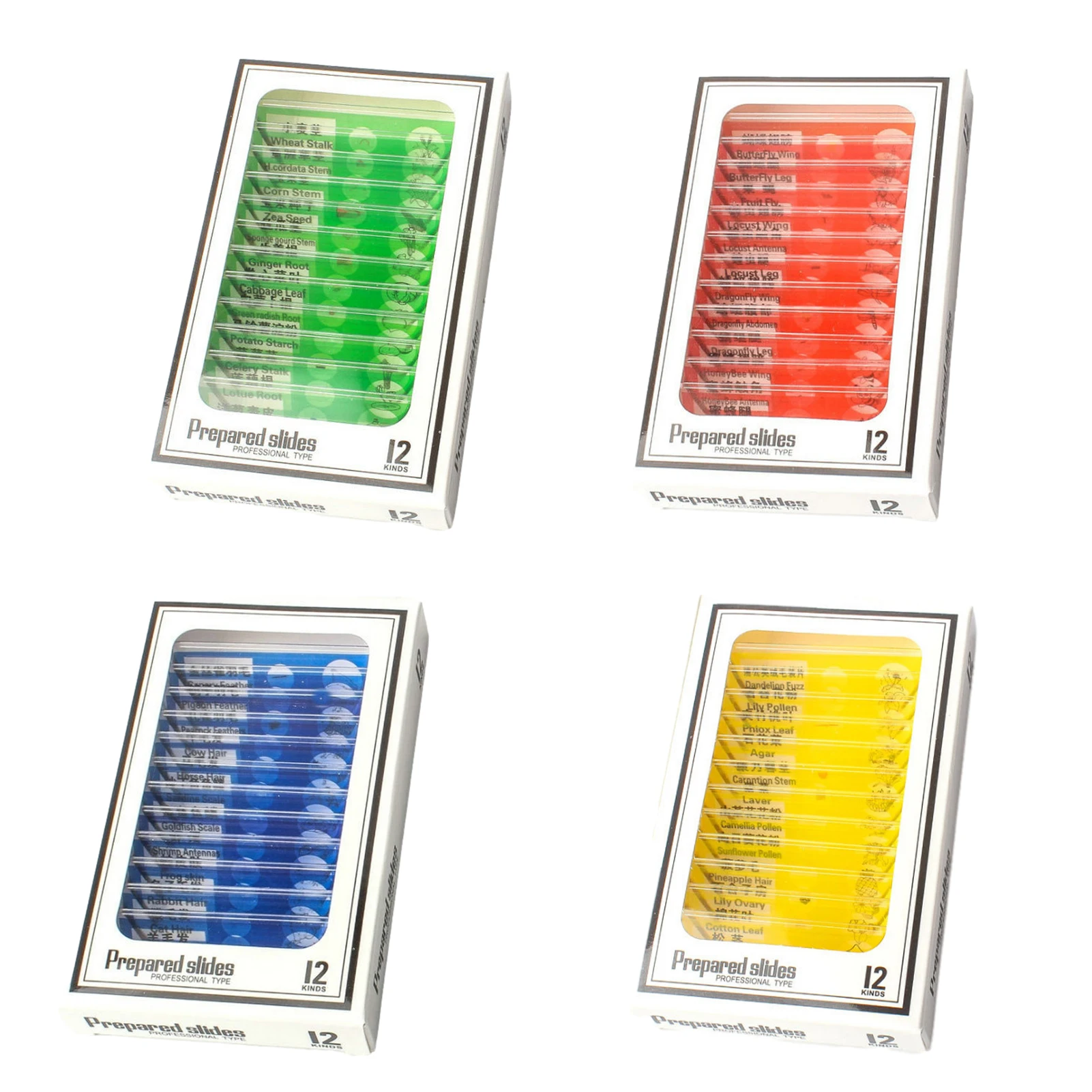 12 Prepared Microscope Slides of Various Speimens 1