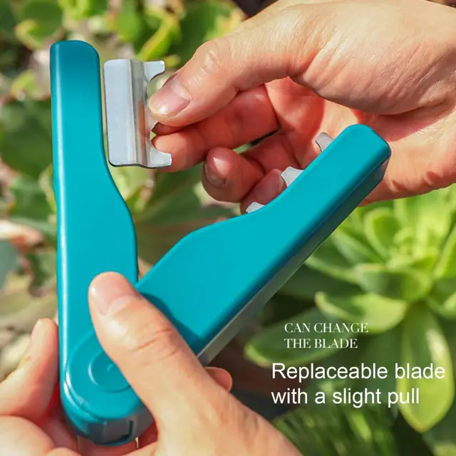 Virágpisztoly Sztriptíz Rozsdamentes Hordozható Levél Kerti Ág Tövisvaros Virágüzlet - Image 4