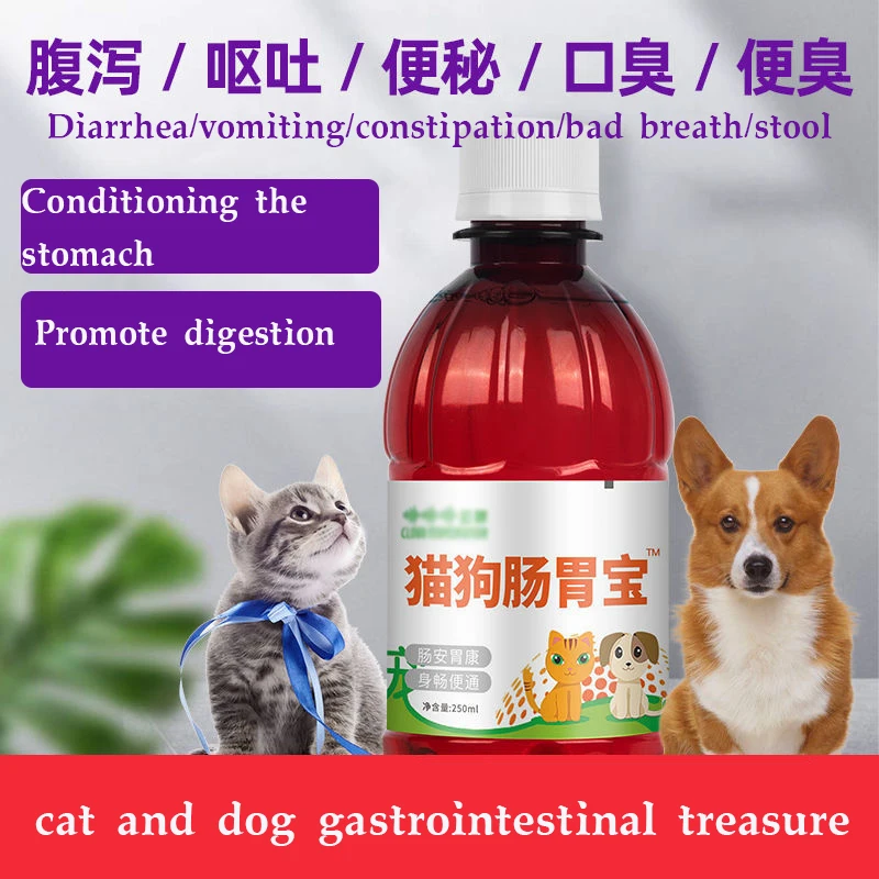 How To Treat Dog With Diarrhea And Vomiting