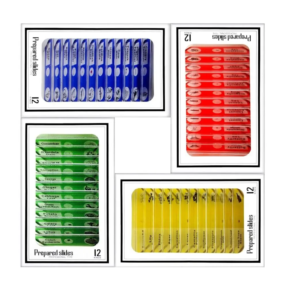 Microscope Glass Slides Prepared For Kids Students Plastic Animals Insects Plants Flowers