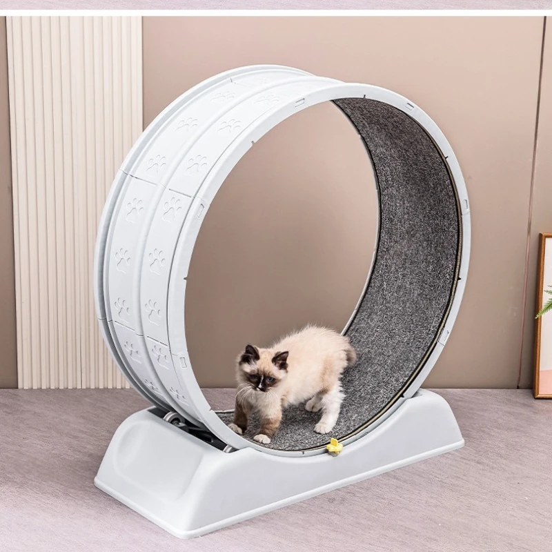 The New Cat Treadmill Is Silent and Does Not Get Stuck Cat Toys Climbing Frame Plastic Fitness Sports Cats Running Wheel