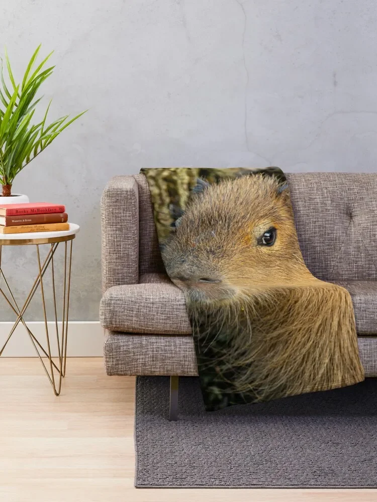 ������ ��� ��� ���� ��� ���� ���� ���, ���� ���游