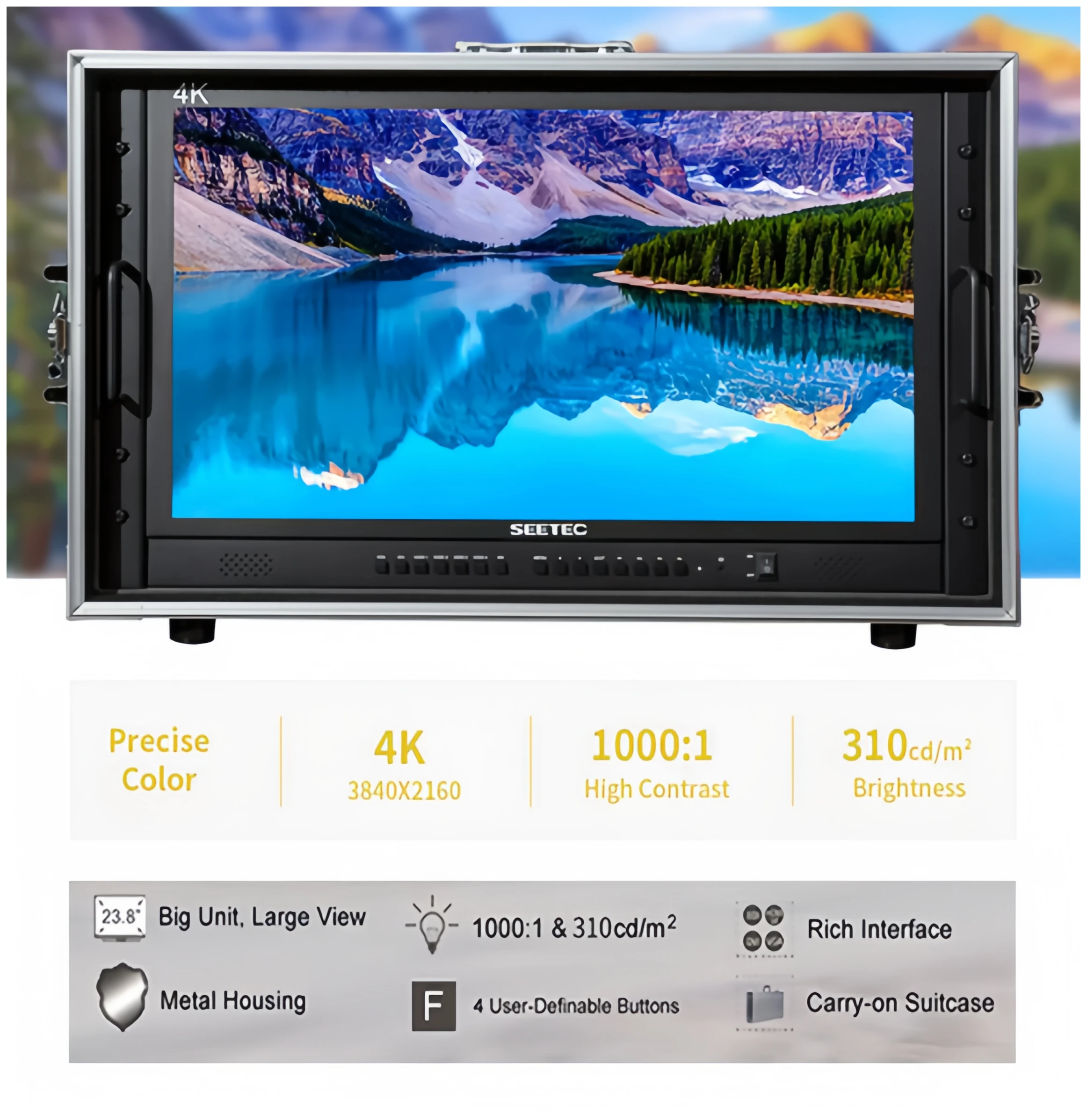 Рисунок 2 - Видеомонитор SEETEC 4K238-9HSD-CO