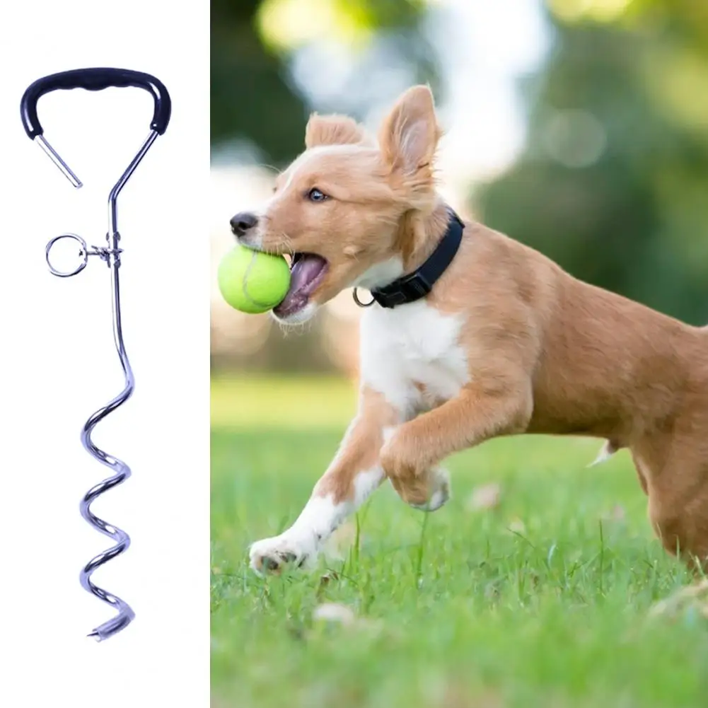 Thick Durable Medium-Large Dogs Spiral Stake Anti Rust Puppy Spike 360 Degree Rotating Ring Outdoor Play