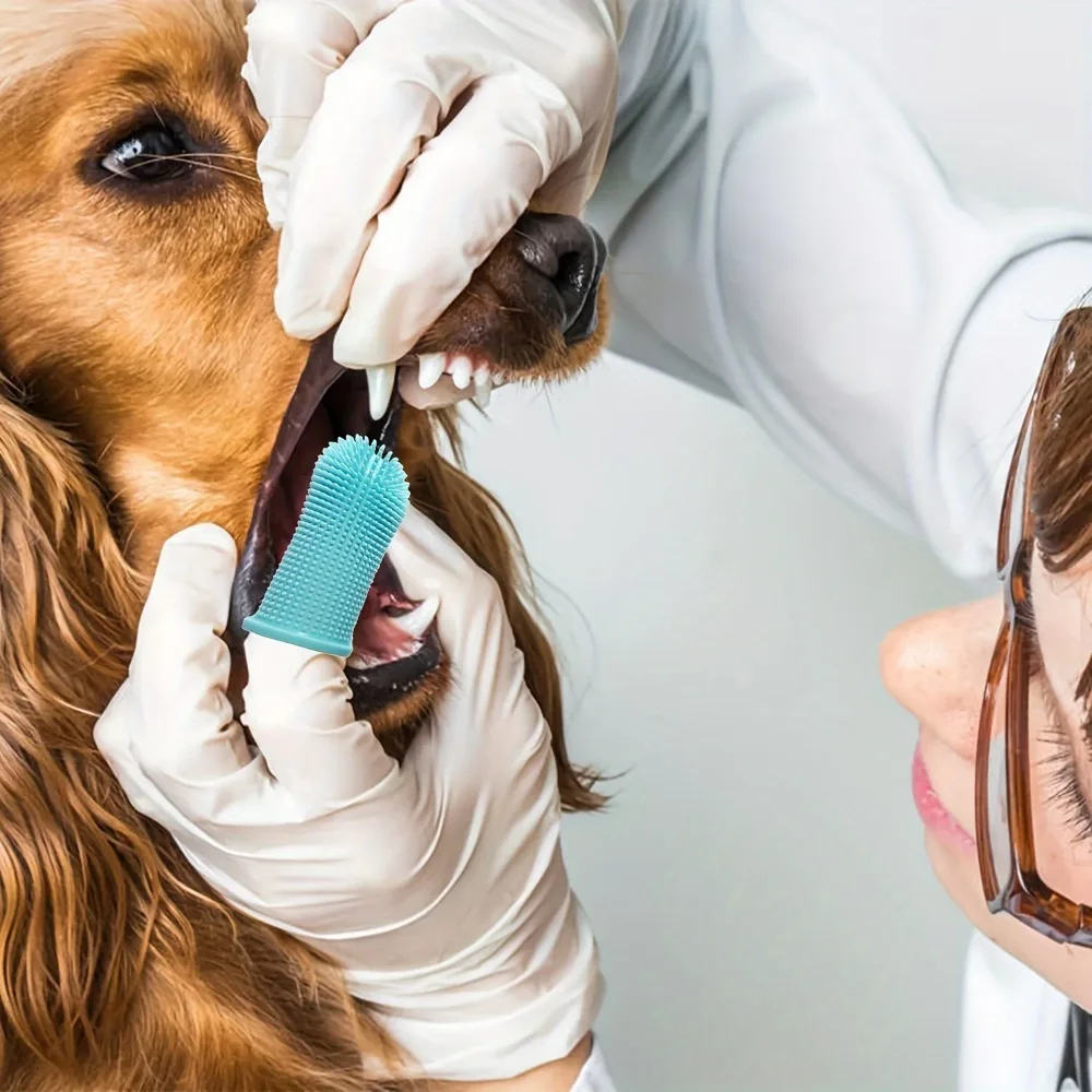 Dog Toothbrush 2Pcs Dog Toothbrush Nontoxic Silicone Dog Finger Toothbrush with Storage Case Cat Puppy for Teeth Cleaning dog toothbrush