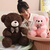 35cm 50cm 60cm Teddy Bear Throw Pillows Soft And Comfortable Stuffed Animals Kawaii Home Decoration Holiday Gift Send Family 3