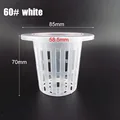 NO.60 white