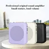 Portable Bee Amplifier Bluetooth USB Drive Teacher Mall Tour Guide Loudspeaker Player 1