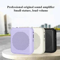 Portable Bee Amplifier Bluetooth USB Drive Teacher Mall Tour Guide Loudspeaker Player 1