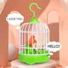 Funny Bird Toy Simulation Chirping Sports Singing Cage Plastic Realistic Sounds Light Movement Voice-Activated Children Gift 4