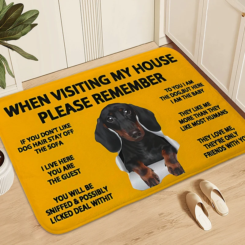 

Pet Dog Floor Mats Front Door Carpet for Bedroom Living Room Bathroom Mat Washable Non-slip Kitchen Rug Soft Entrance Doormat