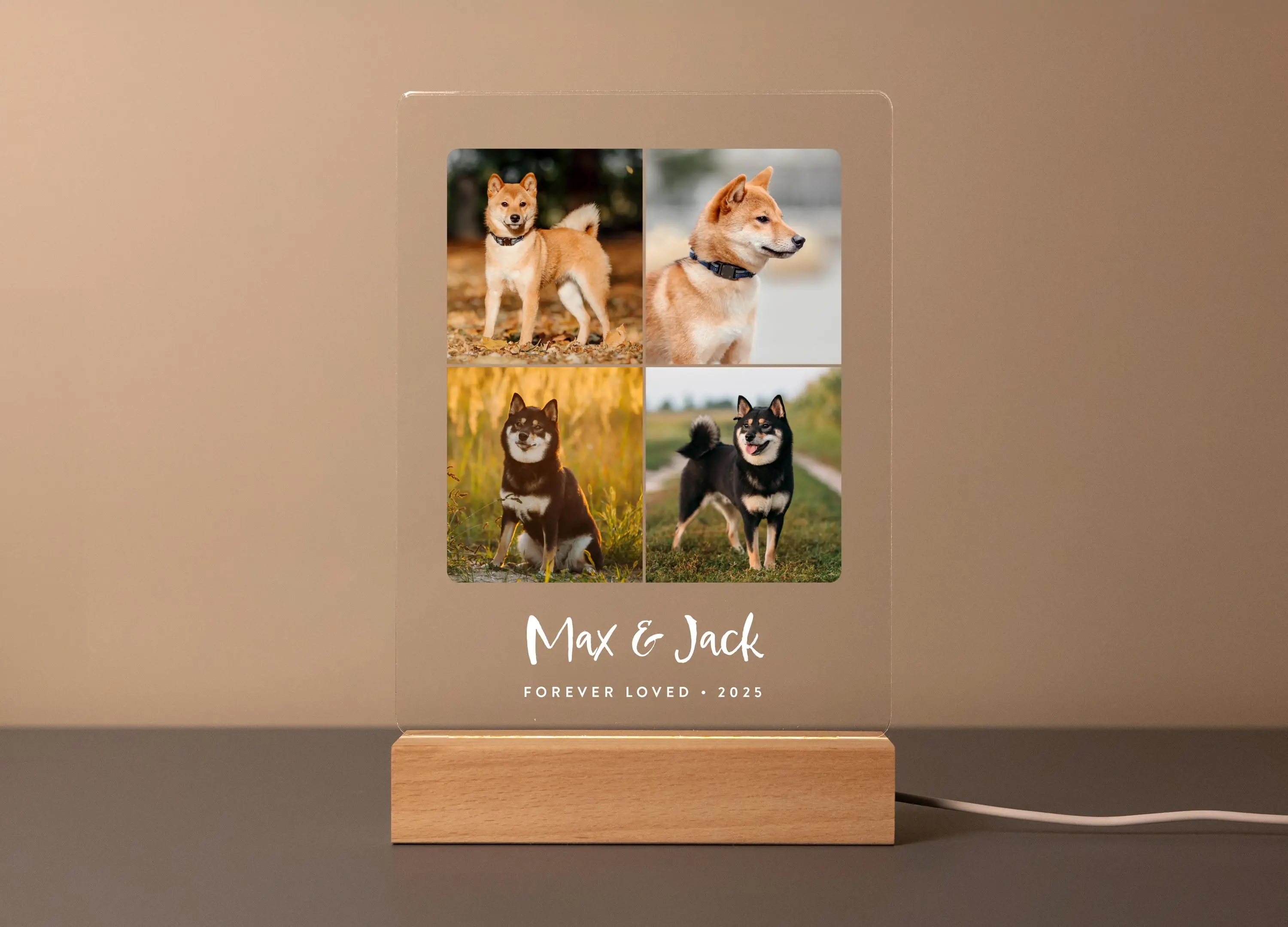 Benutzerdefiniertes Hundefoto-Schild, Haustier-Gedenkgeschenk mit LED-Licht, Haustierverlust, Sympathie, Andenken, personalisiertes Erinnerungsgeschenk – Detail 4