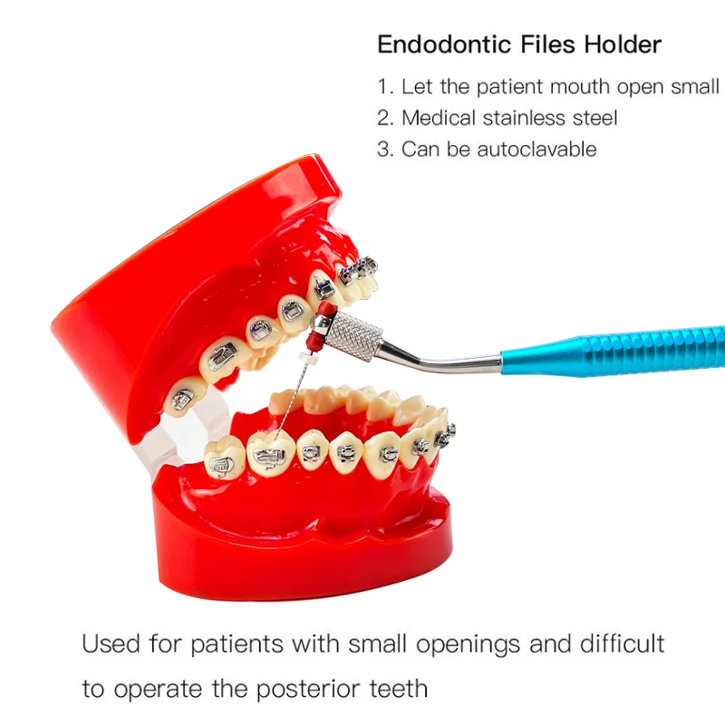 Dental Endodontic Handle File Holder Root Canal File Flexible Operation 200โ Autoclaved Aluminum Alloy Dental File Tools