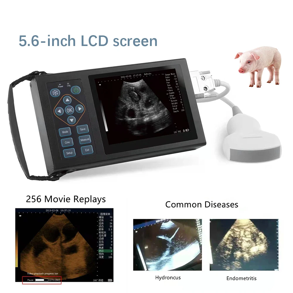 

Pregnancy Ultrasound Machine Veterinary Portable Frequency Conversion Ultrasound System for Palm Pig Sheep Cow Horse Dog Cat