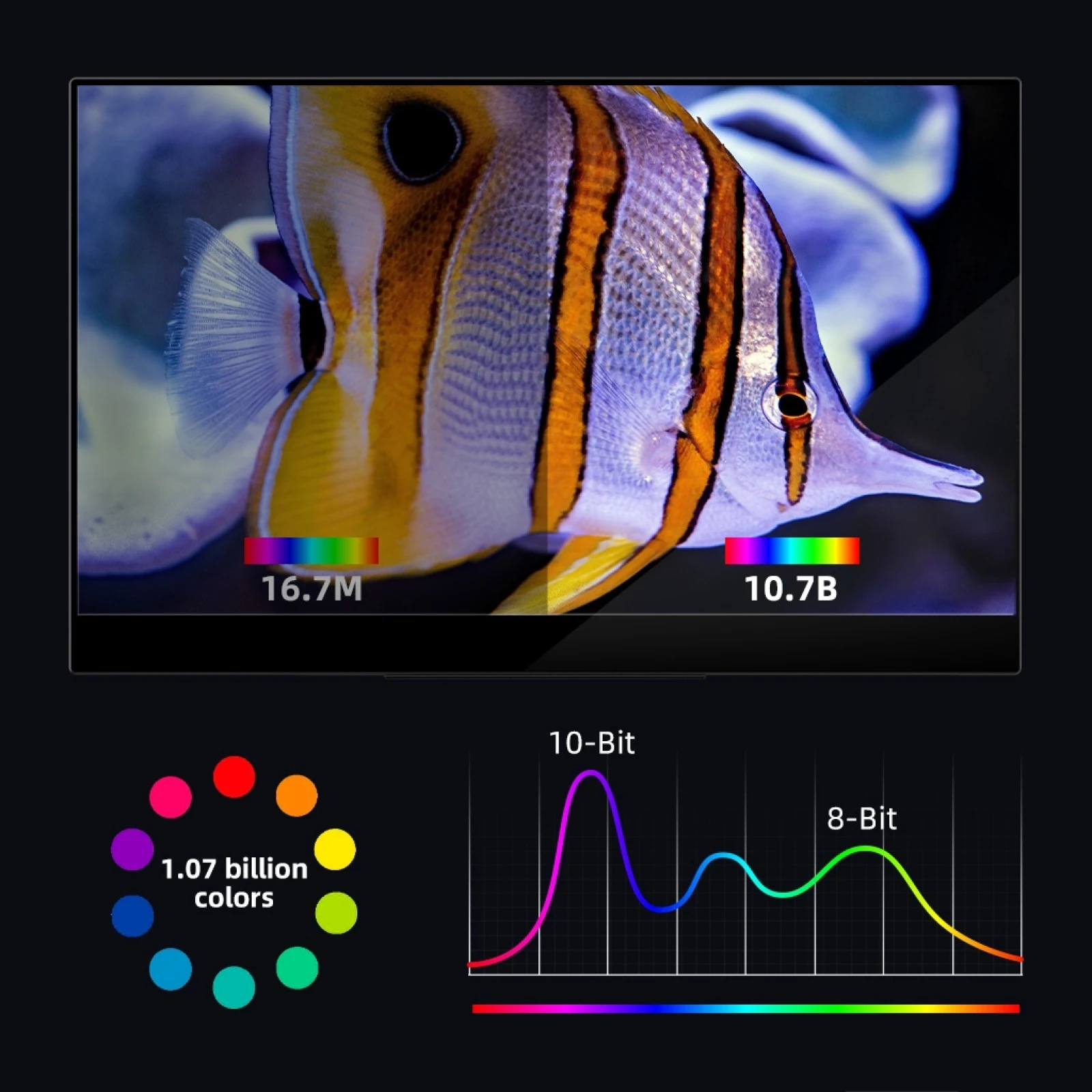 GMKtec-GMK KD2 3840x2160P 4K 15.6 ġ IPS   ġ ũ , Ʈ ǻ ȭ ī޶   Ŀ 