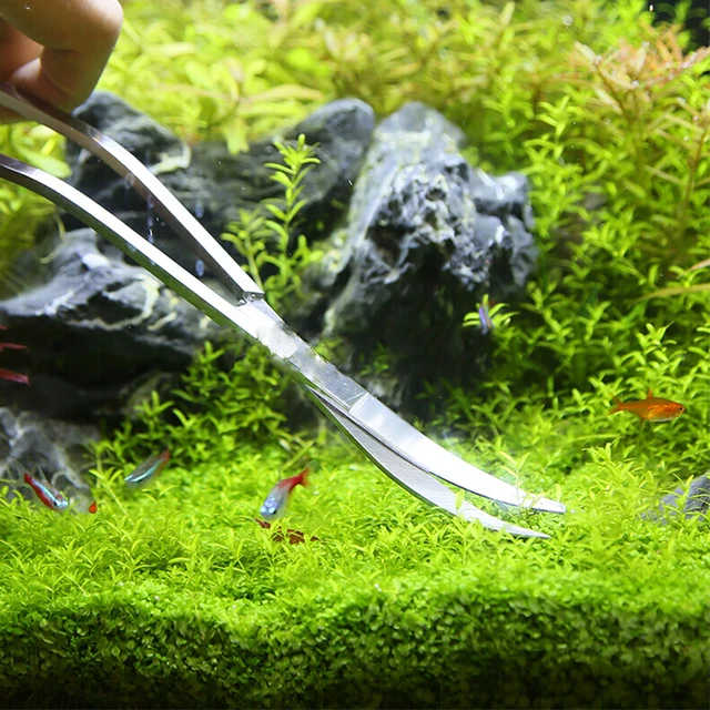 Aquarium Tools Set Scissors Tweezers Aquatic Plant Grass Trimming Stainless Fish Tank Cleaning Tools Aquarium Accessories 6
