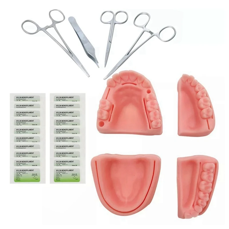 

Silicone Artificial Oral Teeth Gum Suture Training Kit Common Types Of Wounds For Dentist Practice And Training