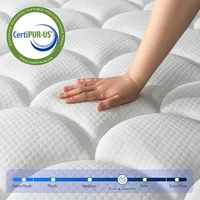Mattress in a Box, Medium Firm Fiberglass-Free, Soft Breathable Pressure Relief Memory Foam Hybrid Pocket Innerspring Bed 2