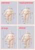 NEW YMY Doll Cat Hand Animal Body Fat Body with Tail Ob11 Body Joint for Gsc Head,1/12bjd,Obitsu 11 Boy Girl Toy Accessories 3